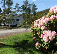 Zeehan Bush Camp  and Caravan Park - Accommodation Noosa