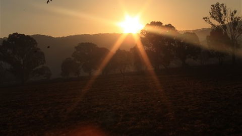 Gentle Annie Caravan And Camping Reserve - Accommodation Noosa 1