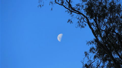 Gentle Annie Caravan And Camping Reserve - Accommodation Noosa 4