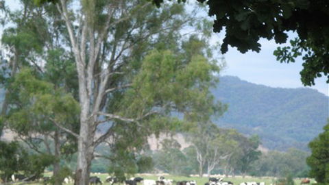 Gentle Annie Caravan And Camping Reserve - Accommodation Noosa 3