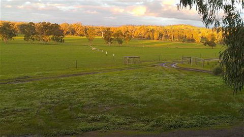 Rotherlea Lodge - Accommodation Noosa 4