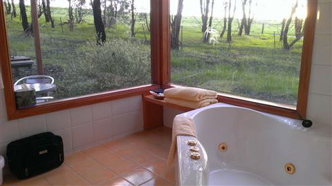 Rotherlea Lodge - Accommodation Noosa 5