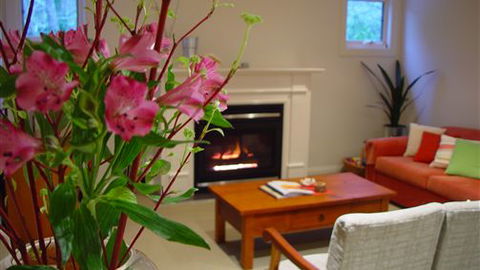 Around About Lorne Studios Or B&B - Accommodation Noosa 4
