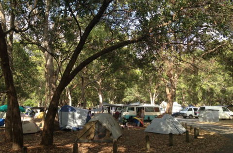 Adder Rock Camping Ground - Accommodation Noosa 0