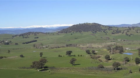 Rancho Relaxo - Accommodation Noosa 0