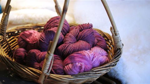 Tarndie - Accommodation Noosa 1