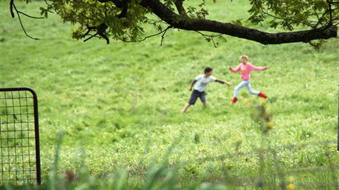 Tarndie - Accommodation Noosa 5