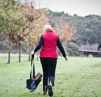 Black Cat Cottage - Accommodation Noosa