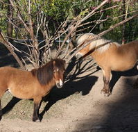 Cloud End Farmstay - Accommodation Noosa