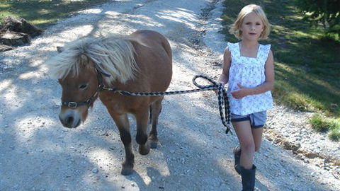 Cloud End Farmstay - Accommodation Noosa 2