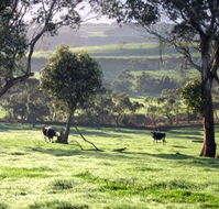Bellevue Farmstay - Accommodation Noosa
