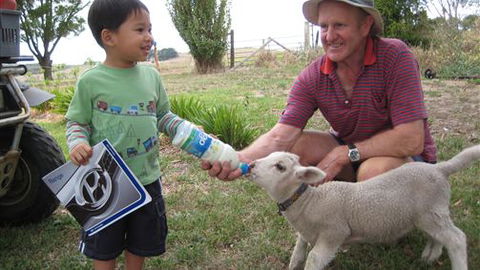 Bellevue Farmstay - Accommodation Noosa 1