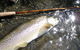 Riverview Lodge - thumb 3
