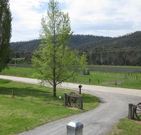 Glenmore Springs Accommodation - Accommodation Noosa