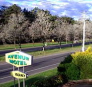 Avenue Motel - Accommodation Noosa