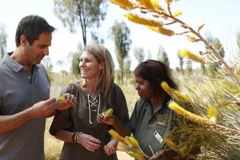 Ayers Rock Campground - Accommodation Noosa 2