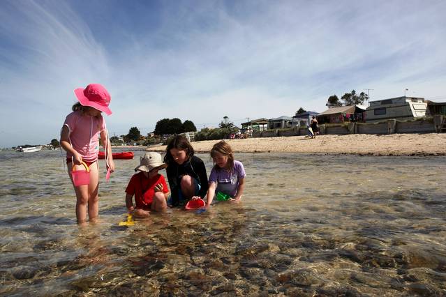 Indented Head VIC Accommodation Noosa
