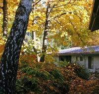 Bogong Village - Accommodation Noosa