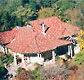 Broomelea Bed  Breakfast - Accommodation Noosa