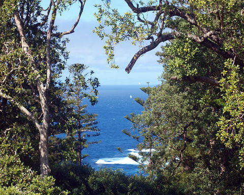 Bucks Point House - Accommodation Noosa 3