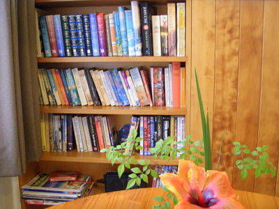 Channers On Norfolk - Accommodation Noosa 4