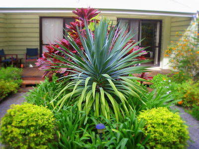 Channers On Norfolk - Accommodation Noosa 5