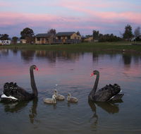Mansfield Holiday Park - Accommodation Noosa