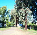 Cudal Caravan Park - Accommodation Noosa