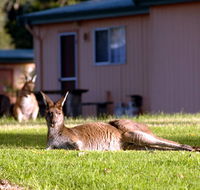 Kalgan River Chalets  Caravan Park - Accommodation Noosa