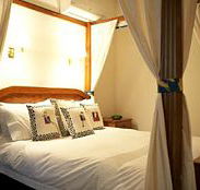 Lazy River Boutique Bed and Breakfast - Accommodation Noosa
