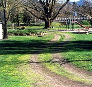 Mongans Bridge Camping Park - Accommodation Noosa