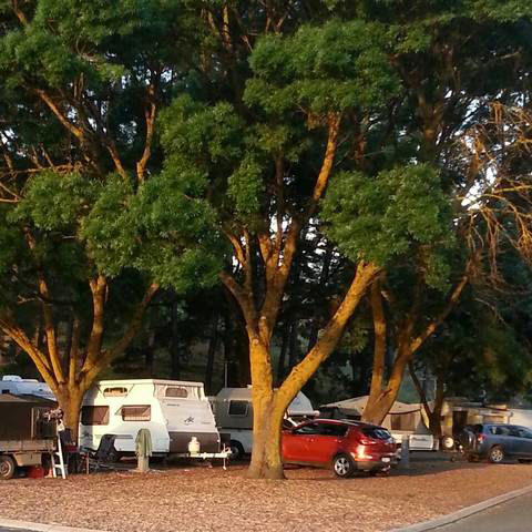 Queen Victoria Jubilee Park - Accommodation Noosa 0
