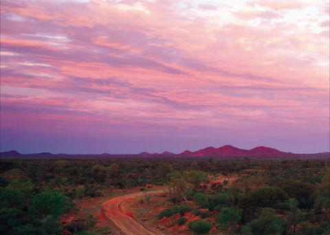 Bond Springs Outback Retreat - Accommodation Noosa 3
