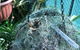 Bromeliad Bed And Breakfast - thumb 13