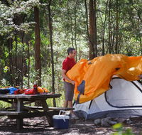 Bald Rock campground and picnic area - Accommodation Noosa