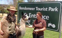 Bendemeer Tourist Park - Accommodation Noosa 0