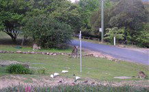 Burrinjuck Waters Holiday Park Accommodation - Accommodation Noosa 2
