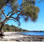 Currarong Beachside Holiday Park - Accommodation Noosa