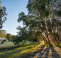 Delicate campground - Accommodation Noosa