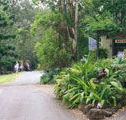 Tamborine Mountain Caravan  Camping - Accommodation Noosa