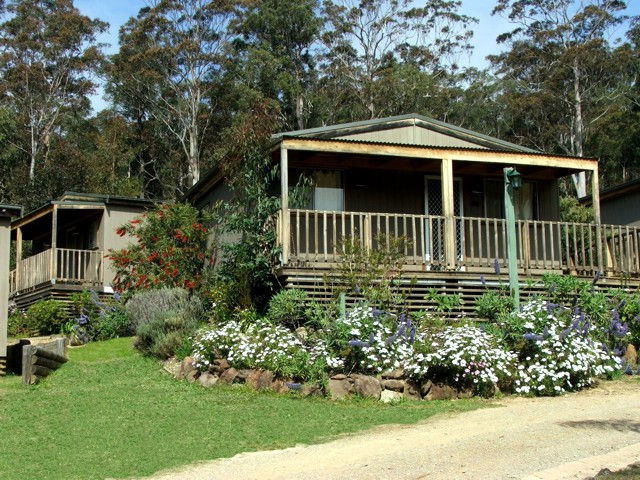 Mogo NSW Accommodation Noosa