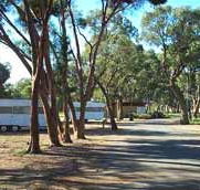 Wycheproof Caravan Park - Accommodation Noosa