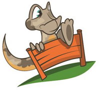 Dare Adventures - Accommodation Noosa