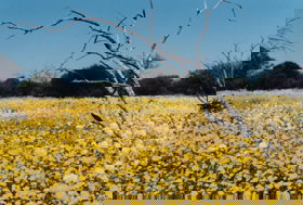 Wooleen Station - Accommodation Noosa 0