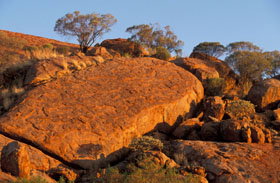 Wooleen Station - Accommodation Noosa 1