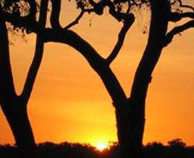 Coodardie Station Stay - Accommodation Noosa 2