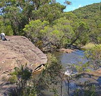 Kingfisher Pool Campground - Accommodation Noosa