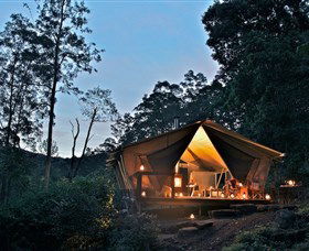 Nightfall Wilderness Camp - Accommodation Noosa 0