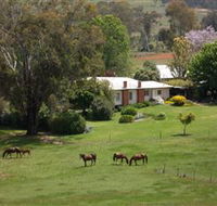 Acacia Park Farm House - Accommodation Noosa
