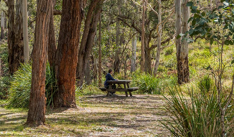 Muli Muli NSW Accommodation Noosa